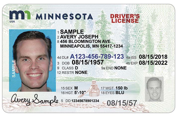 Minnesota Driver's License