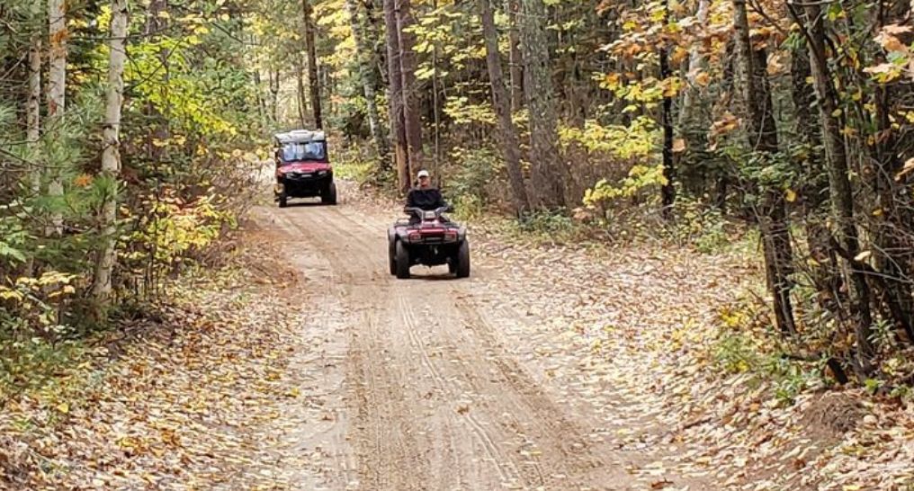 off road vehicles in a forest